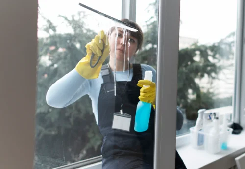 Nettoyage de vitres intérieures et extérieures à Baissey